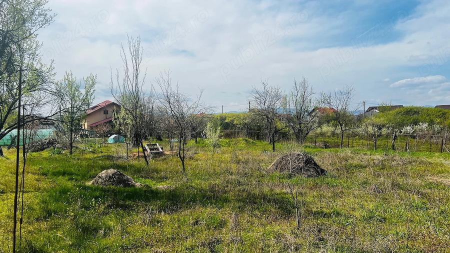 Casă cu 6 camere cu Teren 3576 Mp în Central