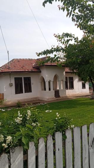 Casa locuibila, renovata, mobilata Rasa com Gradistea - 9