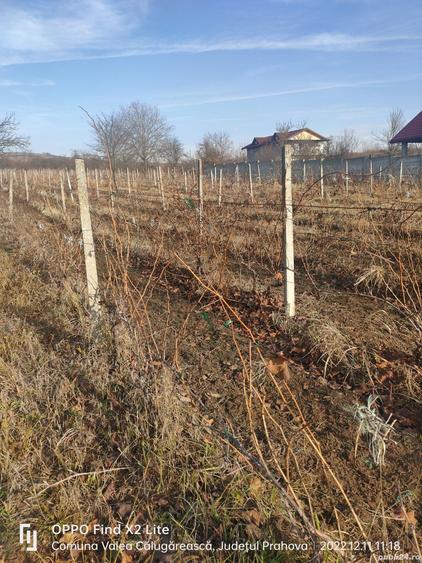 Teren în Valea Călugărească