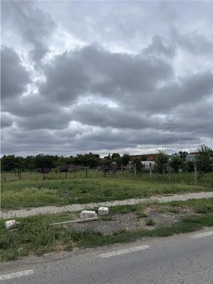 Teren- MOSNITA VECHE- TOATE UTIL. + strada ASFALTATA cu un front stradal generos - 2