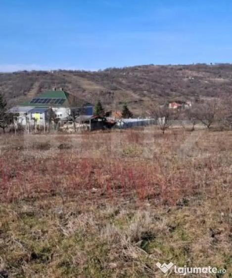 Teren de 860 mp, în Podgoria