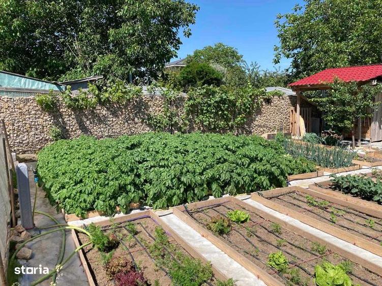 Casă cu 3 camere cu Teren 85 Mp în Moara Vlăsiei