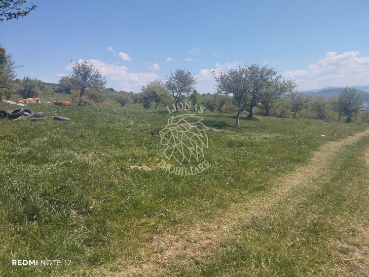 Teren agricol extravilan de 4400 mp, în Cetății
