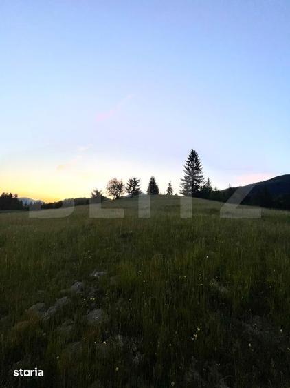 Teren de 10300 mp, în Central