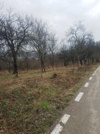 Teren intravilan 2400mp Criseni Salaj - 1