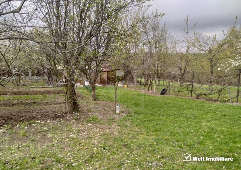 Teren Construcții intravilan de 803 mp, în Sălicea
