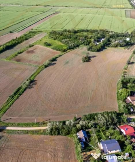 Teren de 5830 mp, în Rociu