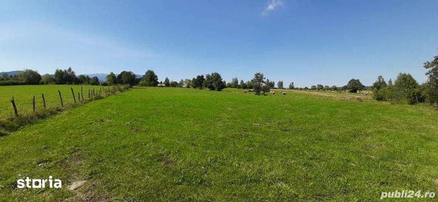 Teren de 9350 mp, în Bran
