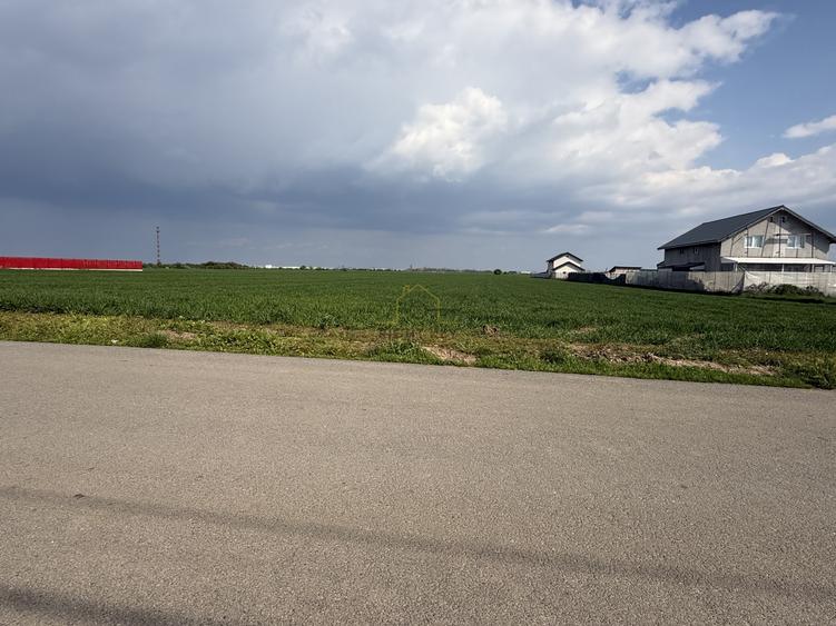 Teren Construcții intravilan de 15000 mp, în Dragomirești-Vale