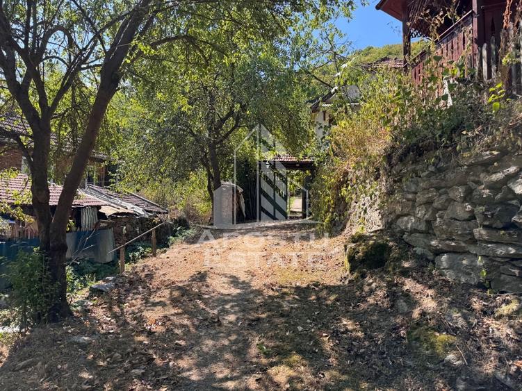 Casa batraneasca renovata, iesire la rau, in Toplita, Hunedoara - 32