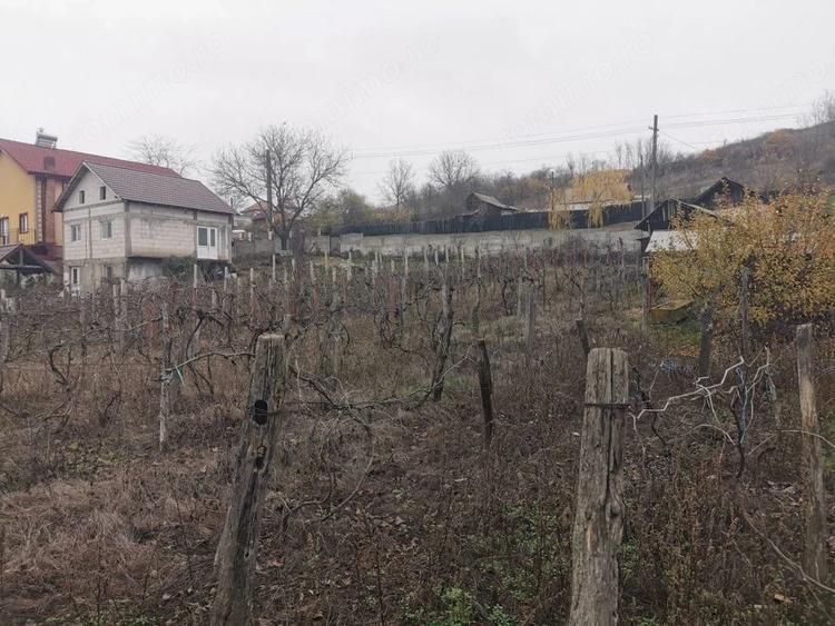 Casă cu 4 camere cu Teren 7000 Mp în Argetoaia