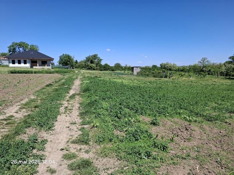 Teren de 1500 mp, în Trușești