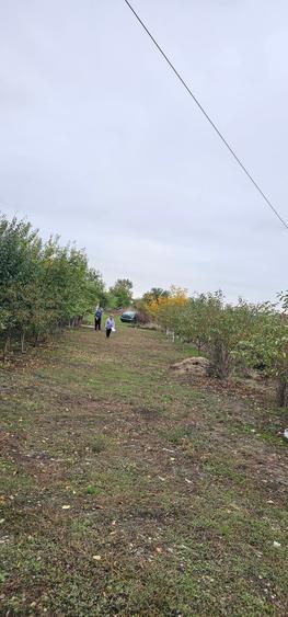 Teren agricol intravilan de 742 mp, în Domnești