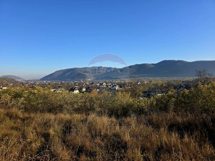 Teren Construcții intravilan de 6874 mp, în Alexandru cel Bun