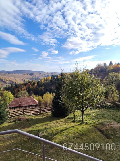 Casă cu 3 camere în Muntele Băișorii