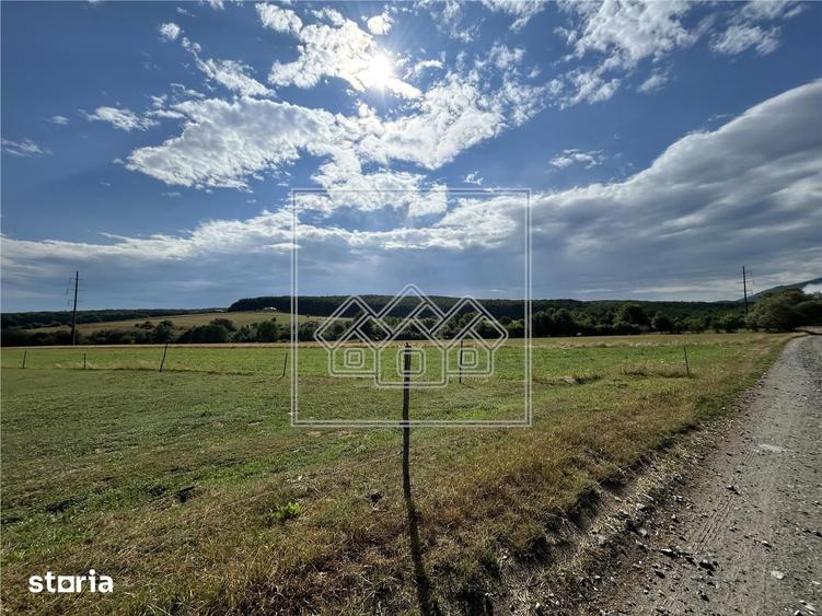 Teren intravilan, 5861 mp - Tocile - 2