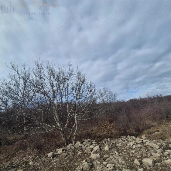 Teren de 2160 mp, în Sigmir