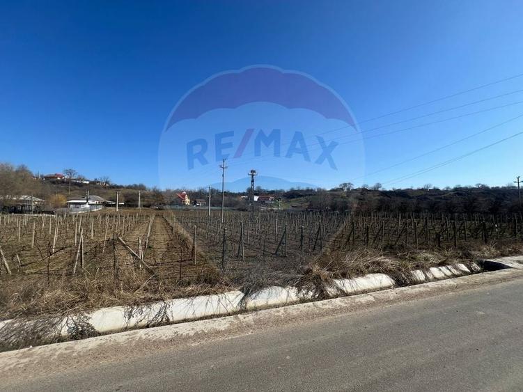Teren Construcții intravilan de 2700 mp, în Movilița