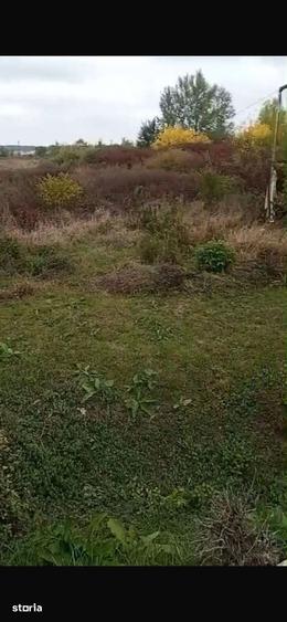 Teren de 12972 mp, în Ghiroda