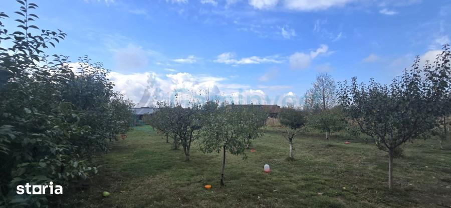 Casă cu 4 camere cu Teren 1755 Mp în Aușeu