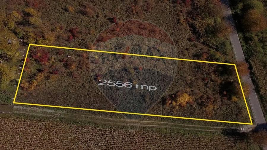 Teren agricol intravilan de 2556 mp, în Pădureni (Chinteni)