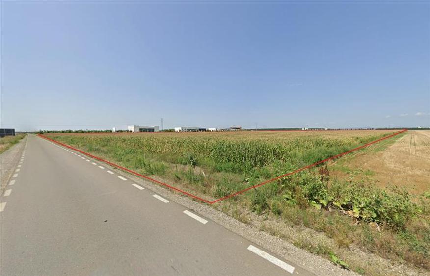Teren Construcții extravilan de 500000 mp, în Păulești
