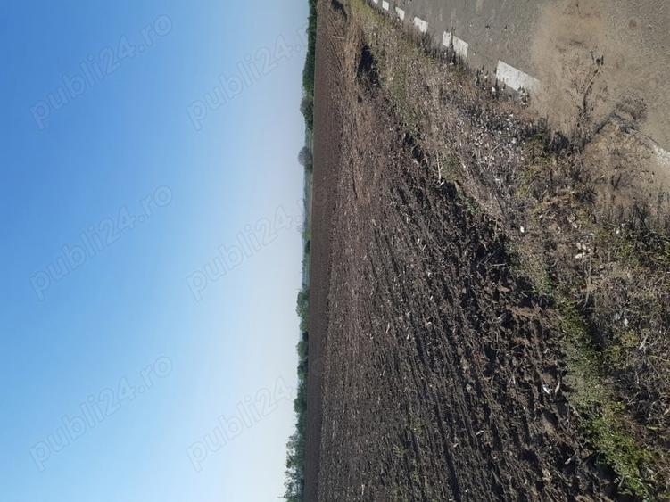 Teren de 4850 mp, în Dobreni