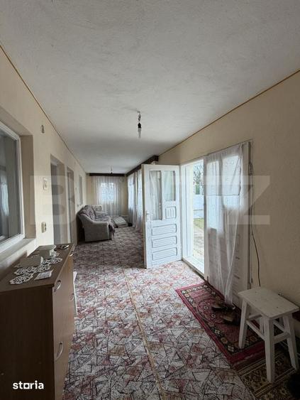 Casa pe parter, 115 mpc, 4505 mp teren, zona Bogea-Almaj - 17