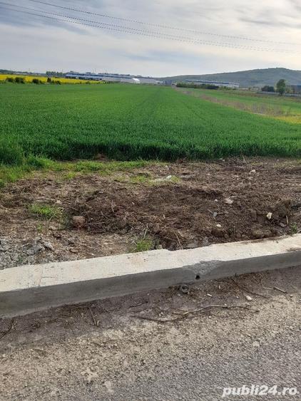 Teren de 5000 mp, în Central