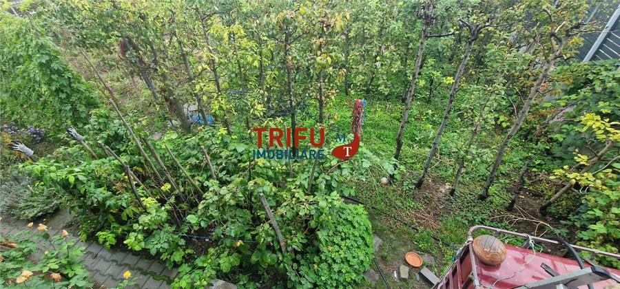 Teren Construcții intravilan de 500 mp, în Ampoi 1