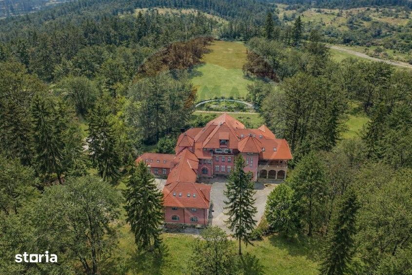 Palatul Stirbei - Darmanesti - 12
