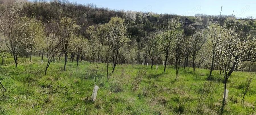 Casă cu 4 camere în Slatina-Nera