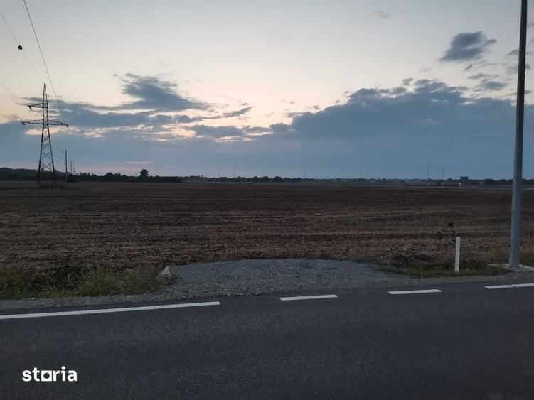 Teren de 6000 mp, în Brănești