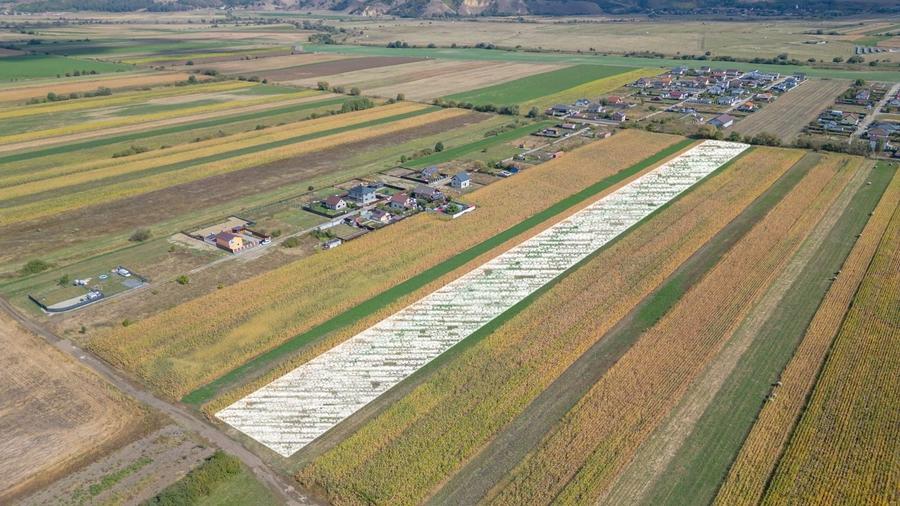 Teren Construcții intravilan de 15000 mp, în Bod