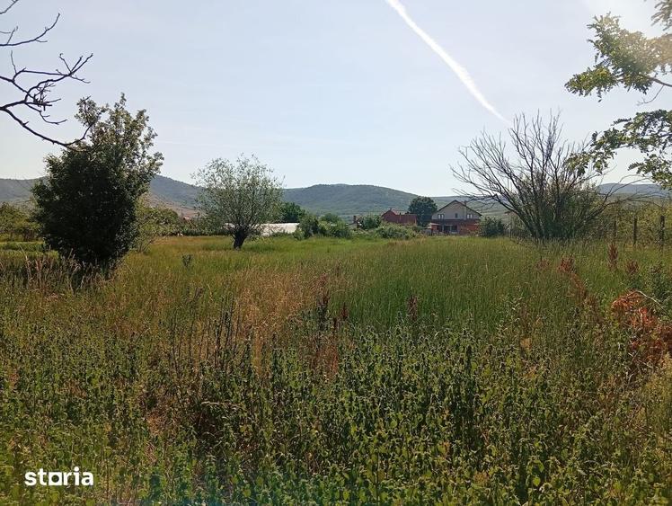 Teren de 1823 mp, în Șiria