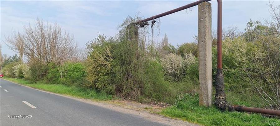 Teren agricol intravilan de 2500 mp, în Dorobanți