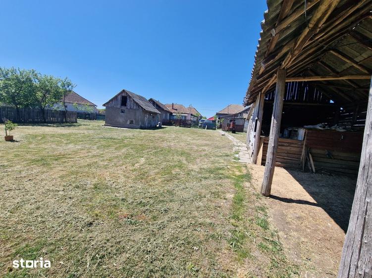 Casă cu 6 camere cu Teren 4780 Mp în Homorog