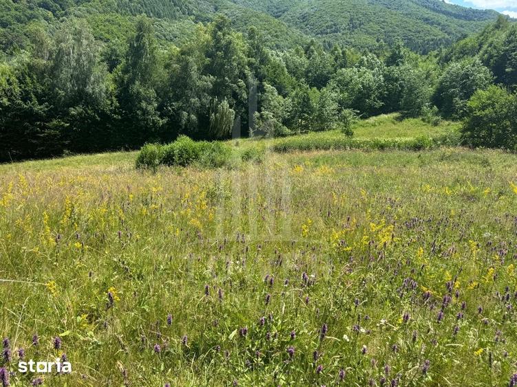 Teren de 4600 mp, în Central