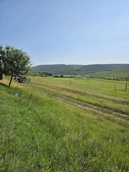 Teren de 7200 mp, în Crețești