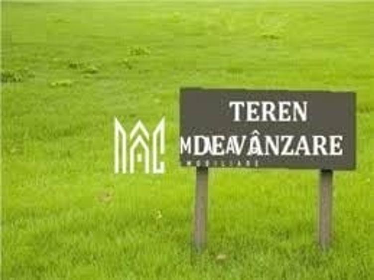 Teren agricol extravilan de 2000 mp, în Daia
