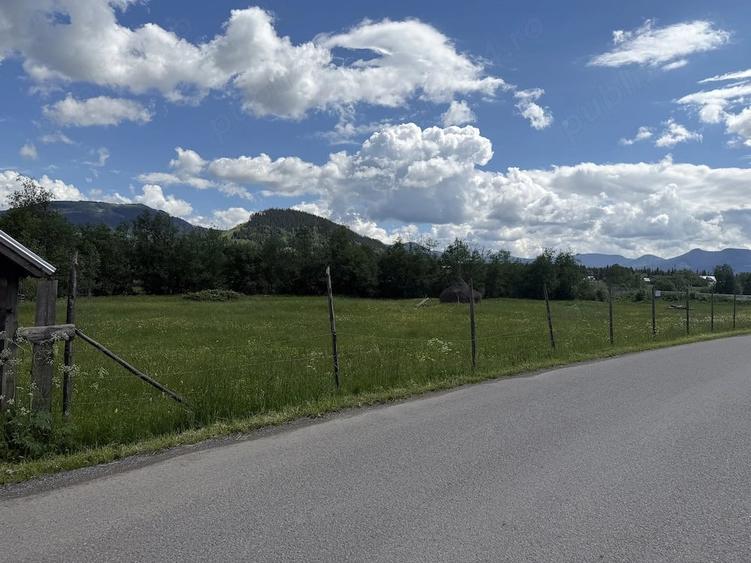 Teren de 8468 mp, în Poiana Negrii