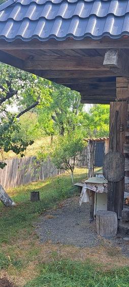 Casă cu 3 camere în Bătrâna