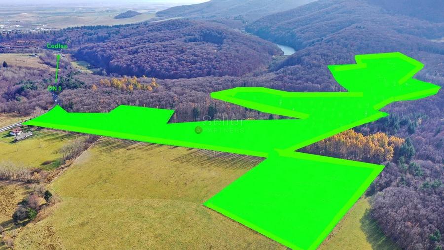 Teren Construcții intravilan de 186000 mp, în Exterior Vest