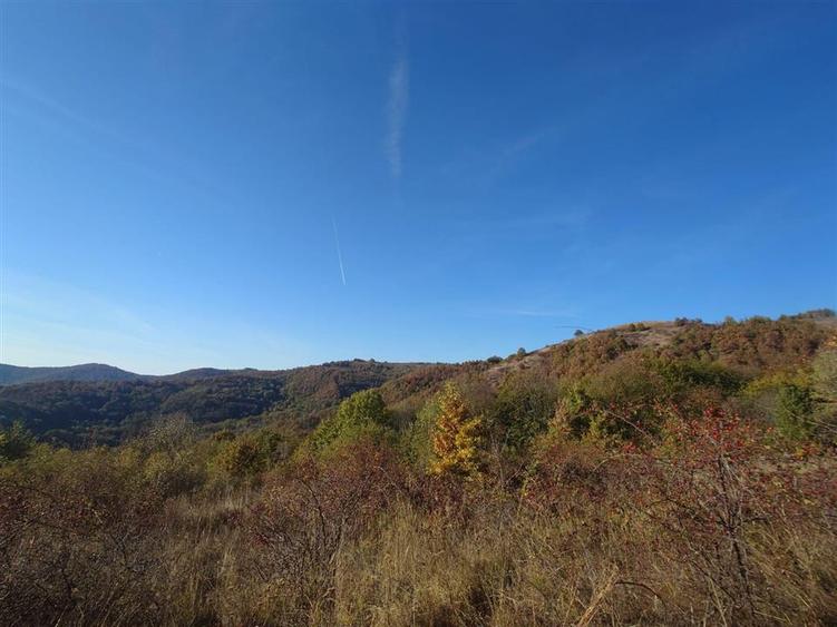 Teren extravilan de 12166 mp, în Vălișoara