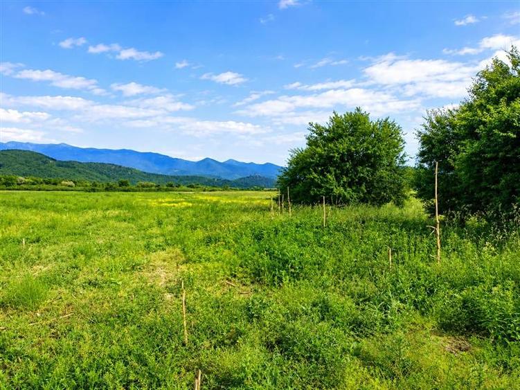 Teren agricol extravilan de 7000 mp, în Periferie