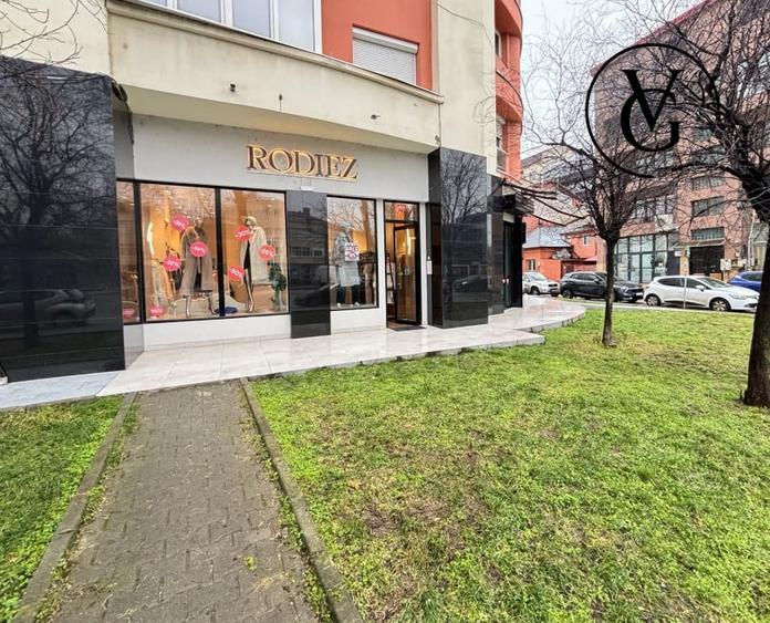 Spațiu comercial, de 230 mp, în Domenii