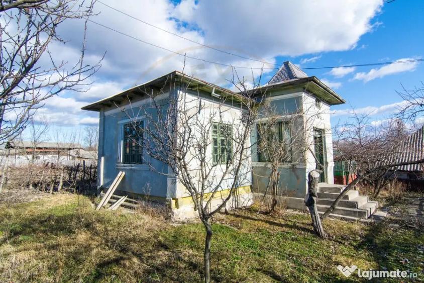 Casă cu 3 camere cu Teren 4145 Mp în Vedea