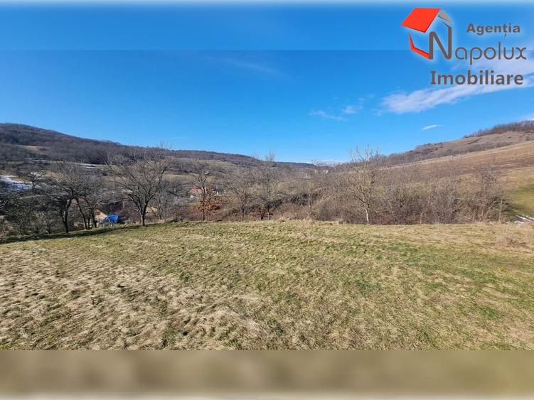 Teren Construcții intravilan de 31000 mp, în Șardu