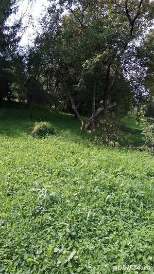 Teren de 9042 mp, în Moisei