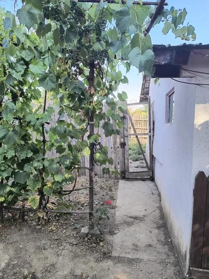 Casă cu 2 camere în Radovan